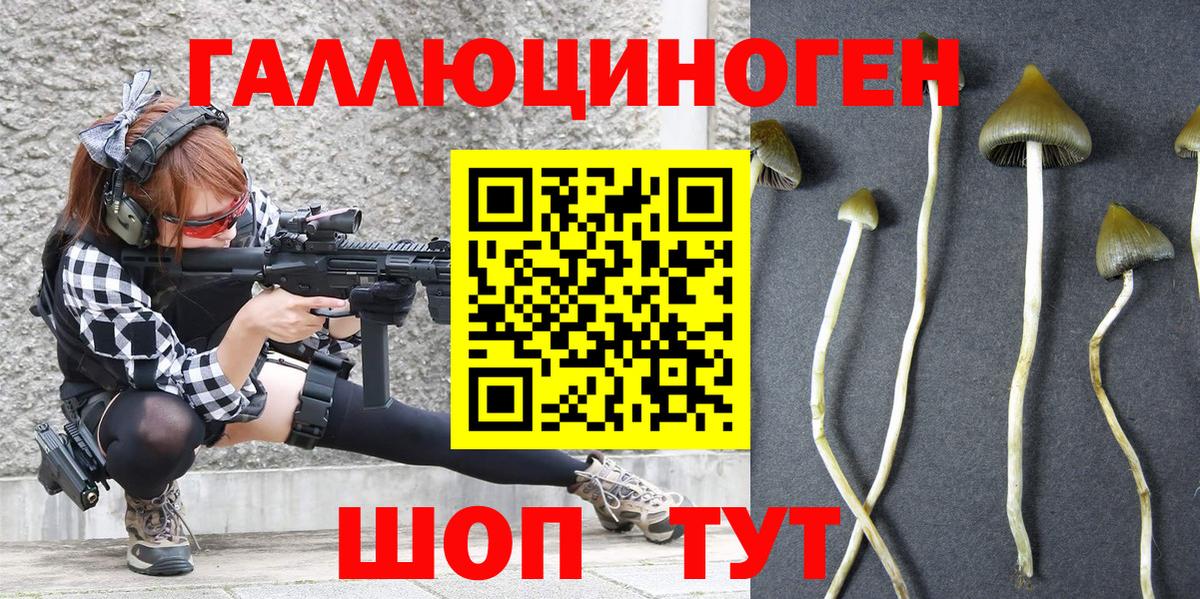 Галлюциногенные грибы GOLDEN TEACHER Красноярск